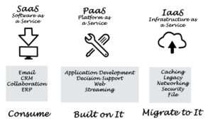 Citizens accessing government portals through PaaS National.